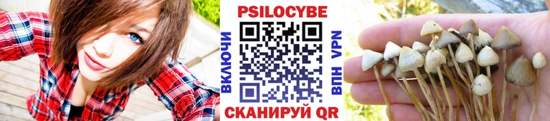 цены наркотик  Верхоянск  Псилоцибиновые грибы мухоморы 